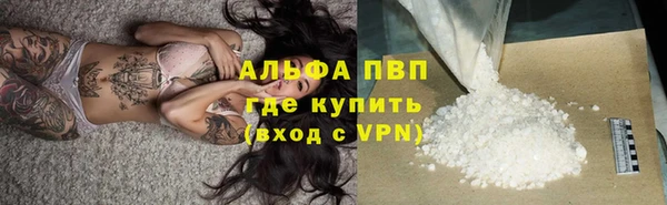 индика Вязьма
