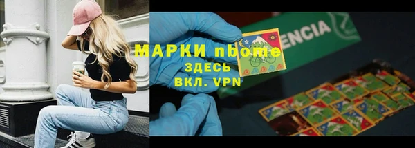 индика Вязьма