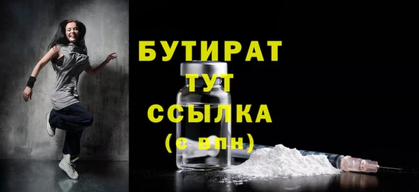 индика Вязьма