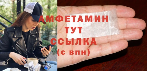 индика Вязьма