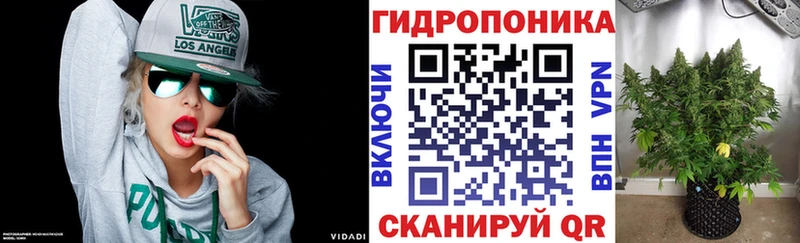 Канабис OG Kush как найти закладки Калтан